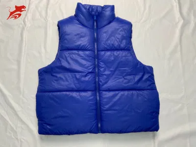 Asiapo Китайская фабрика Женская синяя зимняя укороченная верхняя одежда без рукавов Теплая подставка